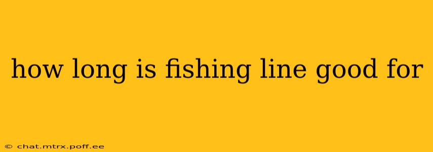 how long is fishing line good for