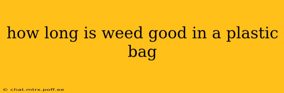 how long is weed good in a plastic bag