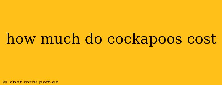 how much do cockapoos cost