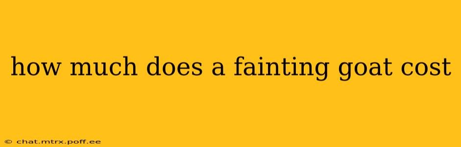 how much does a fainting goat cost