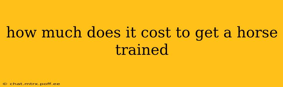 how much does it cost to get a horse trained