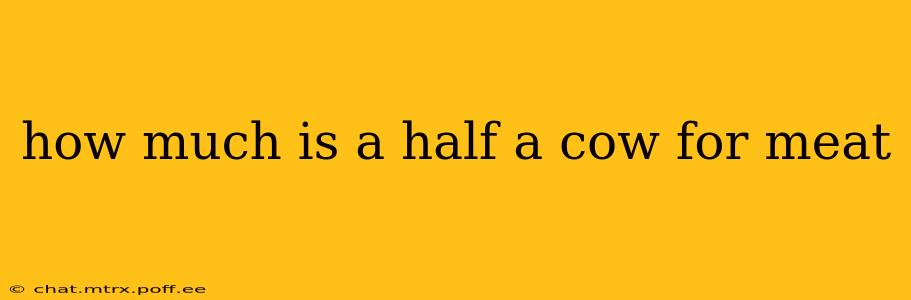 how much is a half a cow for meat
