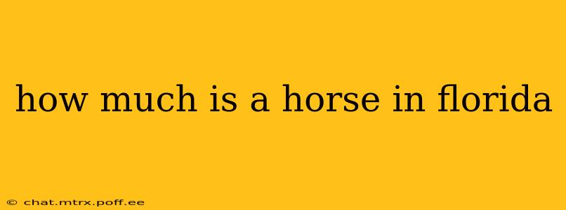 how much is a horse in florida