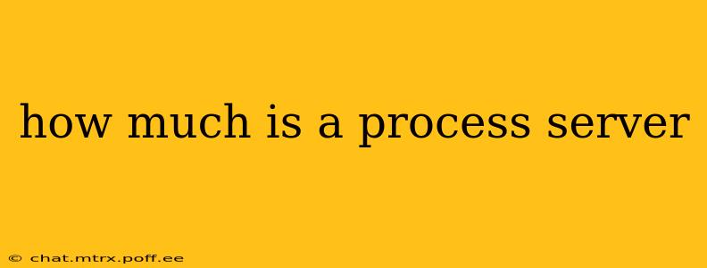 how much is a process server