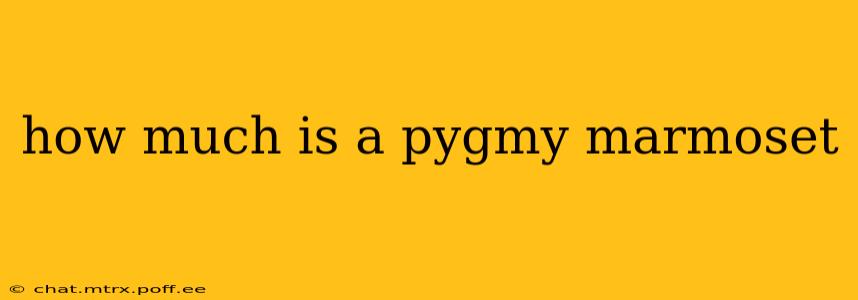 how much is a pygmy marmoset