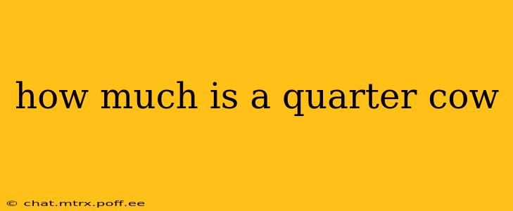 how much is a quarter cow