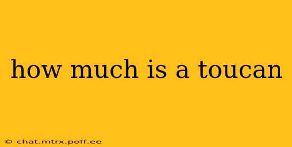 how much is a toucan