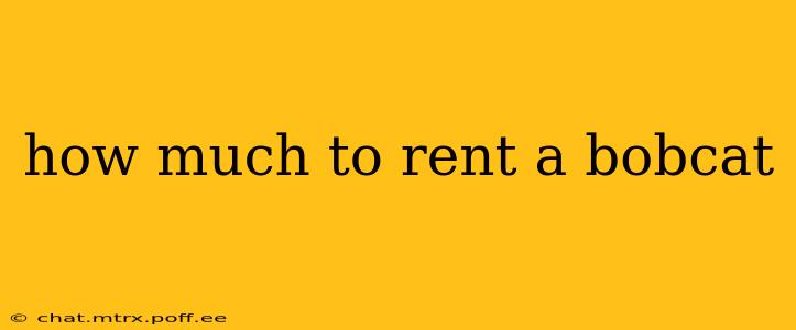 how much to rent a bobcat