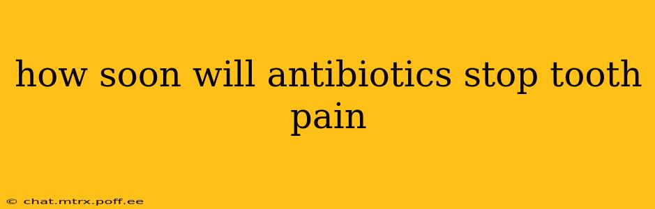 how soon will antibiotics stop tooth pain
