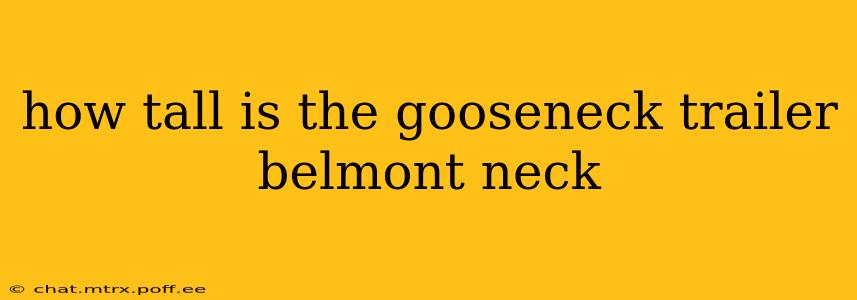 how tall is the gooseneck trailer belmont neck
