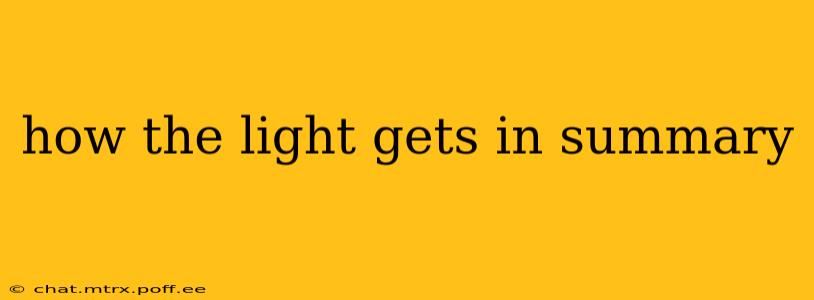 how the light gets in summary