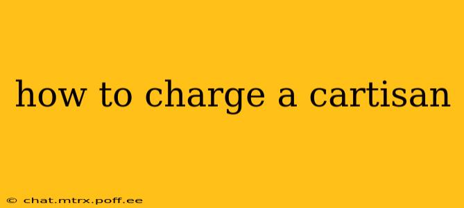 how to charge a cartisan