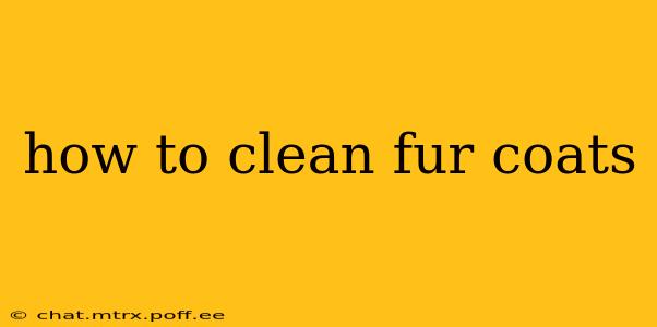 how to clean fur coats