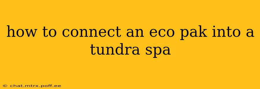 how to connect an eco pak into a tundra spa