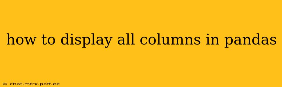 how to display all columns in pandas