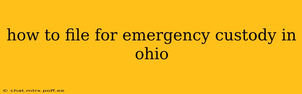 how to file for emergency custody in ohio