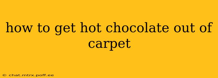 how to get hot chocolate out of carpet