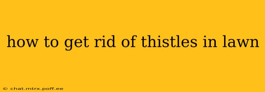 how to get rid of thistles in lawn