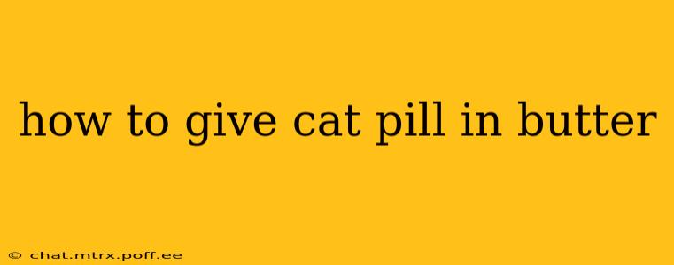 how to give cat pill in butter