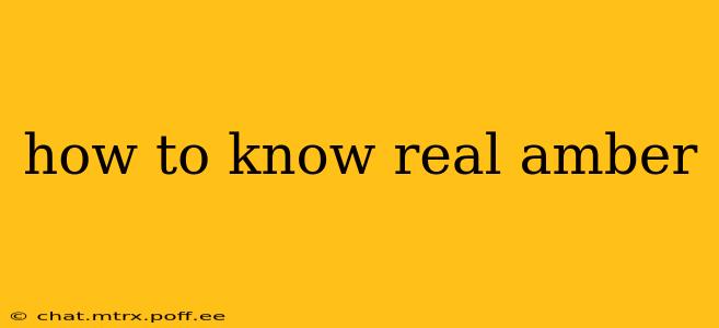 how to know real amber