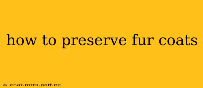 how to preserve fur coats