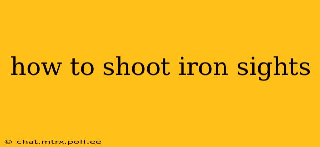 how to shoot iron sights