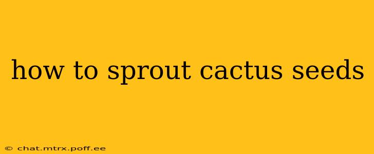 how to sprout cactus seeds