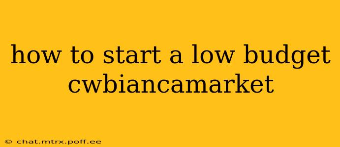 how to start a low budget cwbiancamarket
