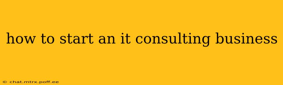how to start an it consulting business
