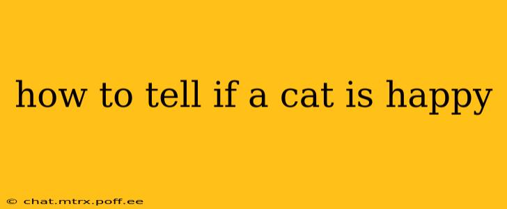 how to tell if a cat is happy