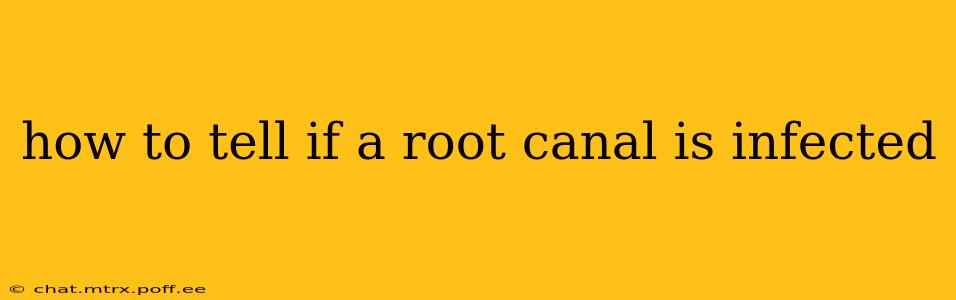 how to tell if a root canal is infected