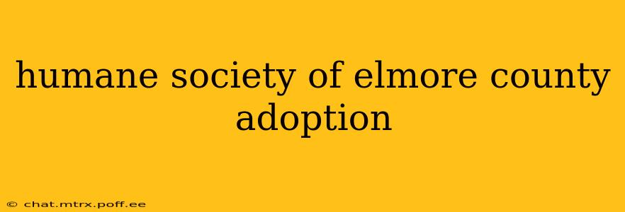 humane society of elmore county adoption