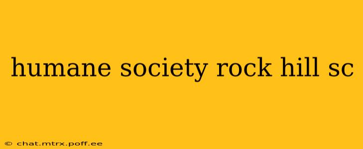 humane society rock hill sc