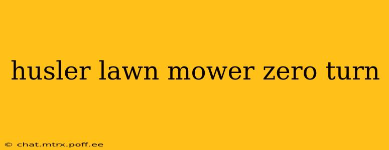 husler lawn mower zero turn