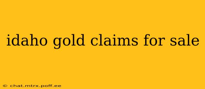 idaho gold claims for sale