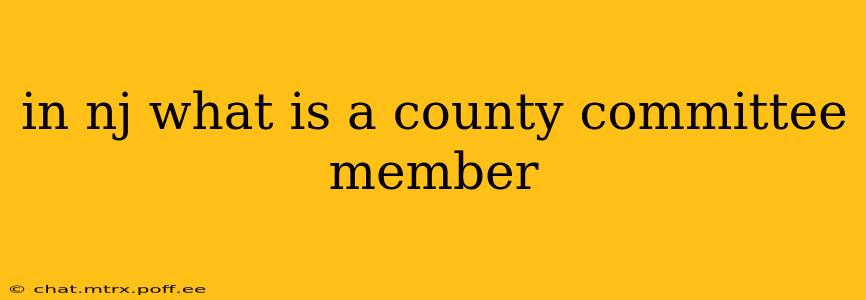 in nj what is a county committee member