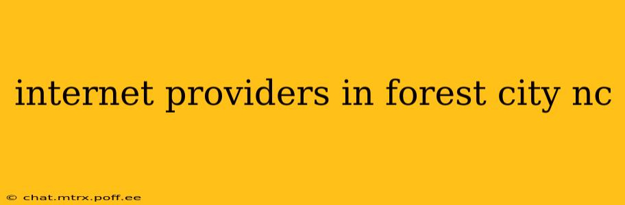 internet providers in forest city nc