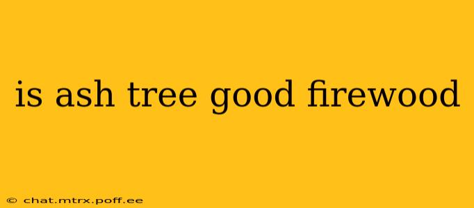 is ash tree good firewood