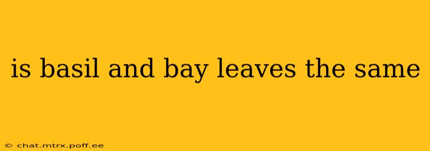 is basil and bay leaves the same