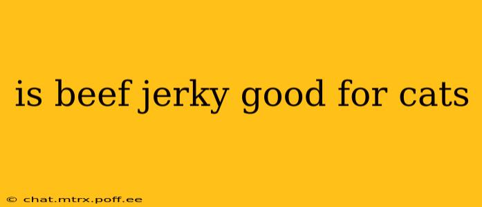 is beef jerky good for cats