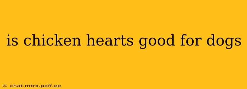 is chicken hearts good for dogs