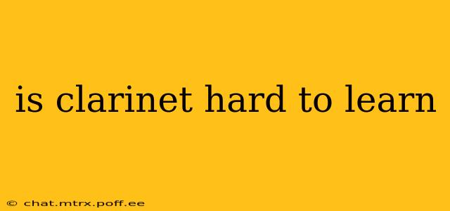 is clarinet hard to learn