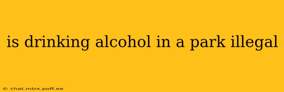 is drinking alcohol in a park illegal