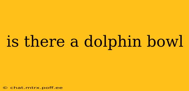 is there a dolphin bowl