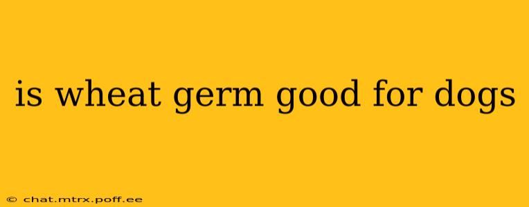 is wheat germ good for dogs