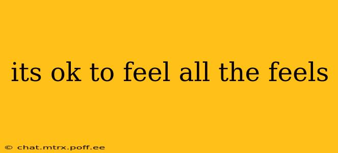 its ok to feel all the feels