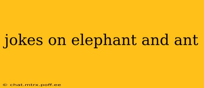 jokes on elephant and ant
