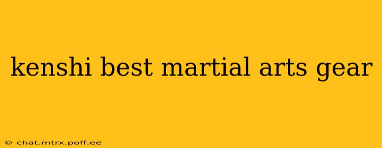 kenshi best martial arts gear