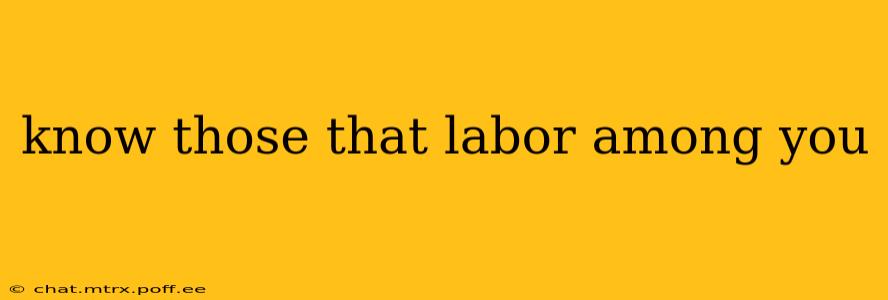 know those that labor among you