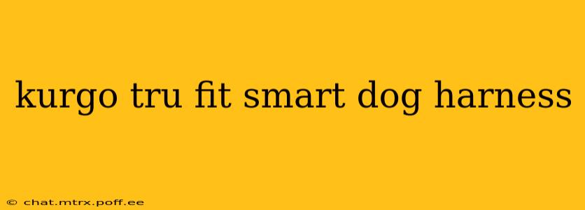 kurgo tru fit smart dog harness
